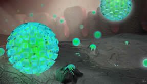 Medical Illustration of Epstein Barr Virus