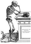 Merchant of Venice Image