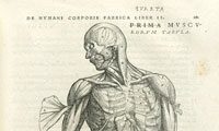 History of Medicine